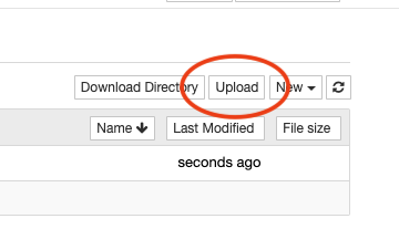 Upload CSV