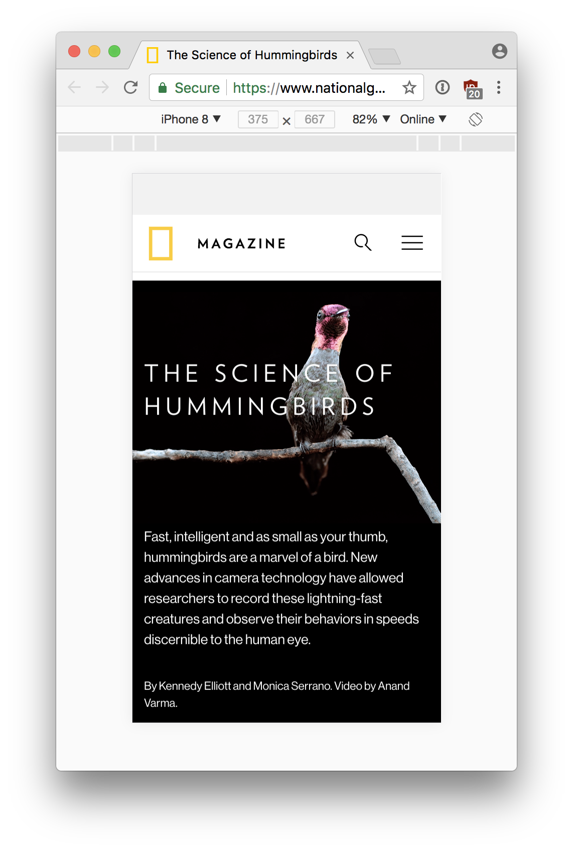 Science of Hummingbirds